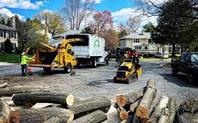 Mulching Services in Staunton, VA